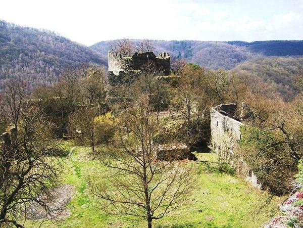 Garden apartments Znojmo Buitenkant foto